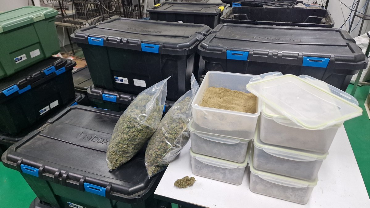 William Wallace tweet media