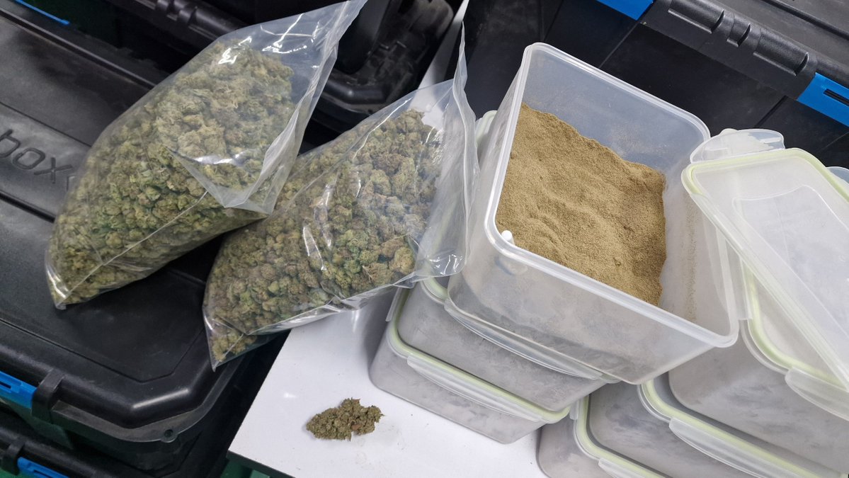 William Wallace tweet media