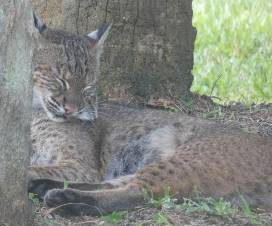 Sailing through the Storm tweet media