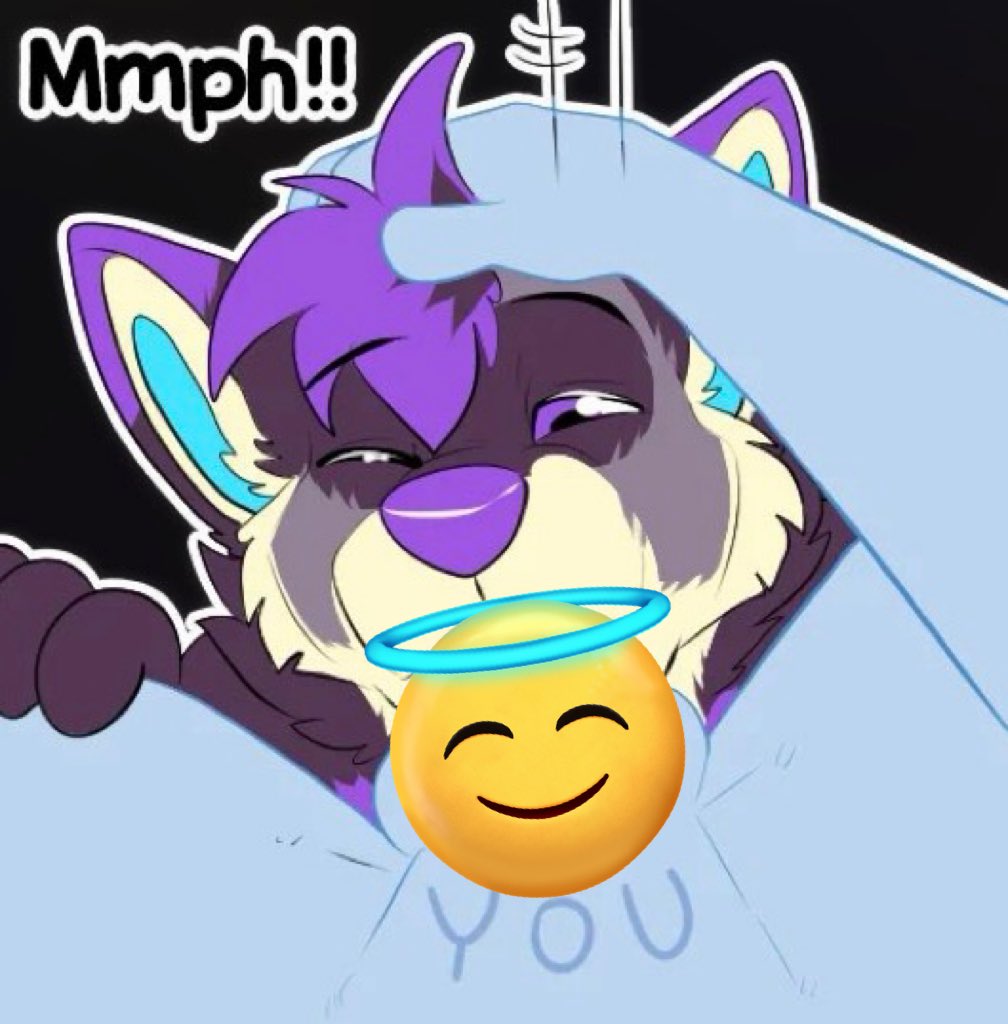 Kizma Husky tweet media