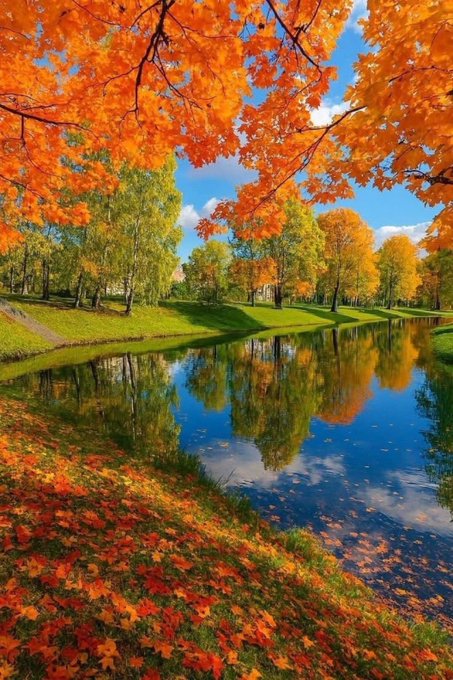 skelley6162's tweet image. Hi, Wednesday friends Have a #Awesome rest of the day #BetterTogether @MargaretAntony5 @teacher_mom03 @JessicaAlba_90 @drios1111 @AmberforMAGA @Amanda664789867 @Lvike1584 @LEA86680530 @lori_huntsman @j88876964 @AmberforMAGA @MissM_QT @Island10 @SouthernChick @7Jars @wendypink224