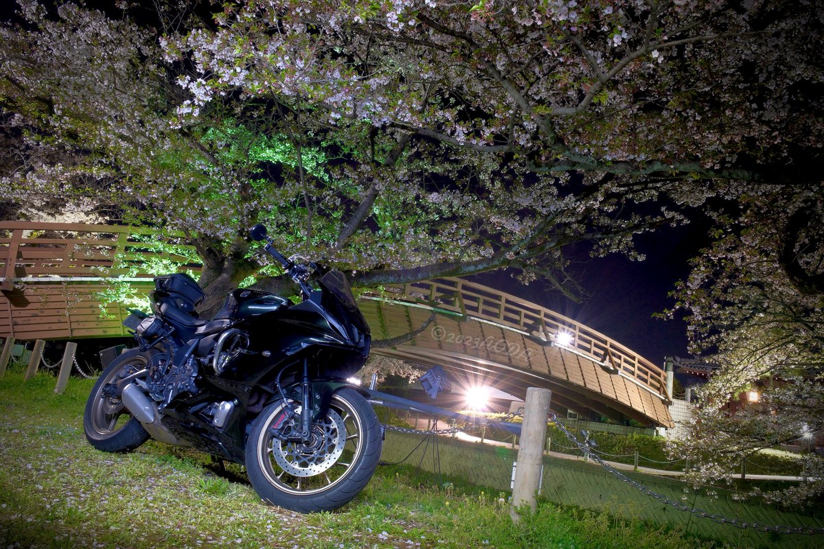 あおだ tweet media