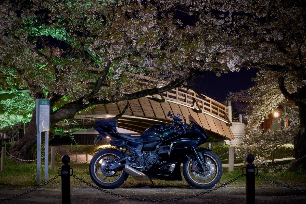 あおだ tweet media