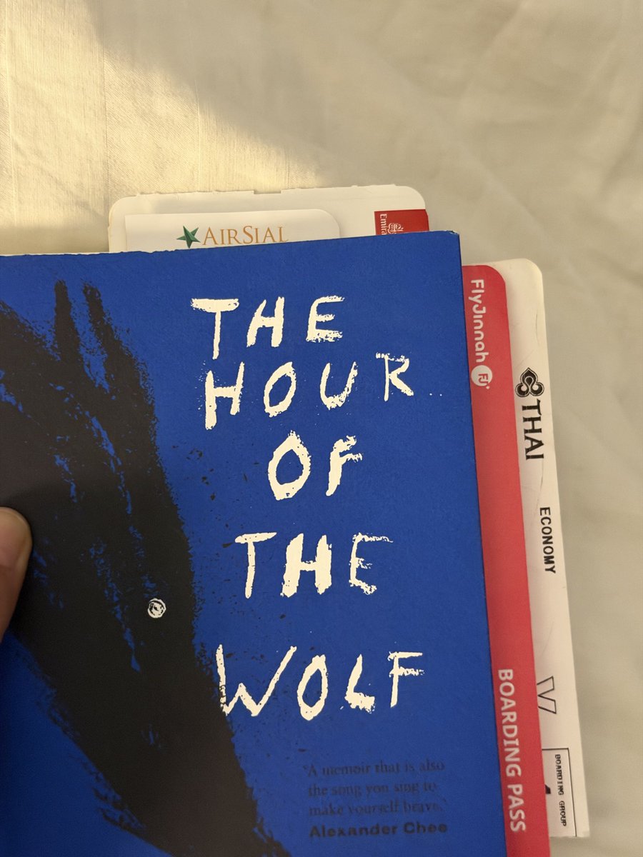 toldja cat 🦋 tweet media