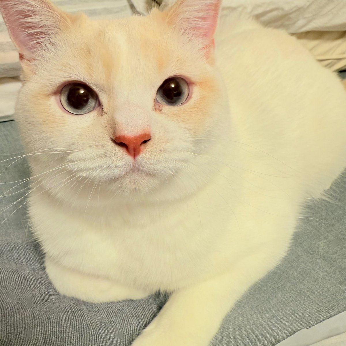 sinba🌊🎴 tweet media