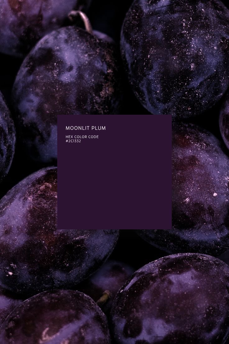 violet✧*｡ tweet media