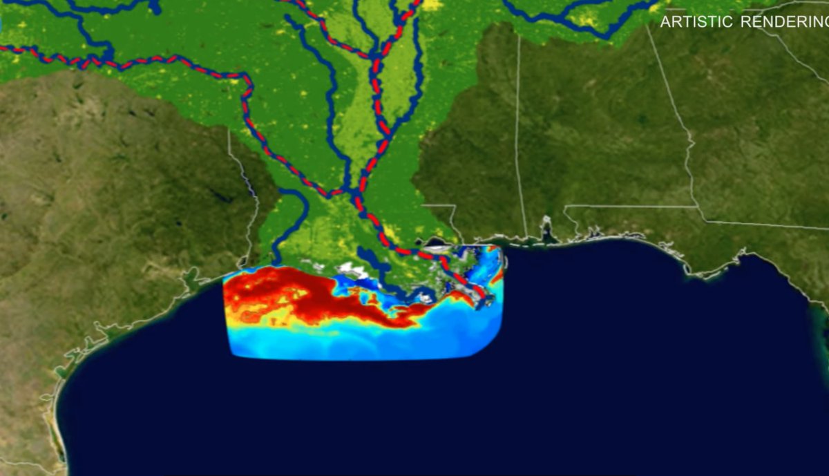 Sama Hoole tweet media
