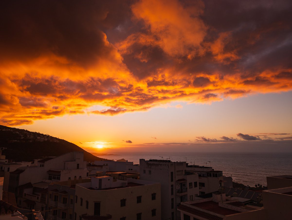 Fernando tweet media