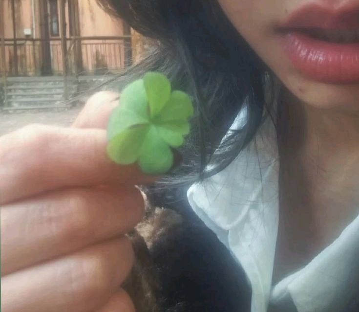 ,, ENHYPEN IS 7 tweet media