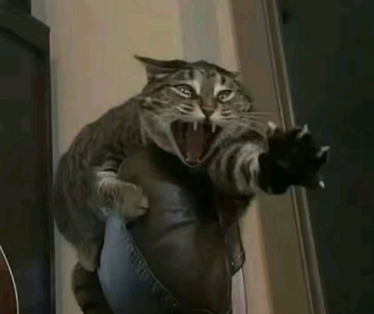 Scarlett 🌸 Comms open!!!! tweet media