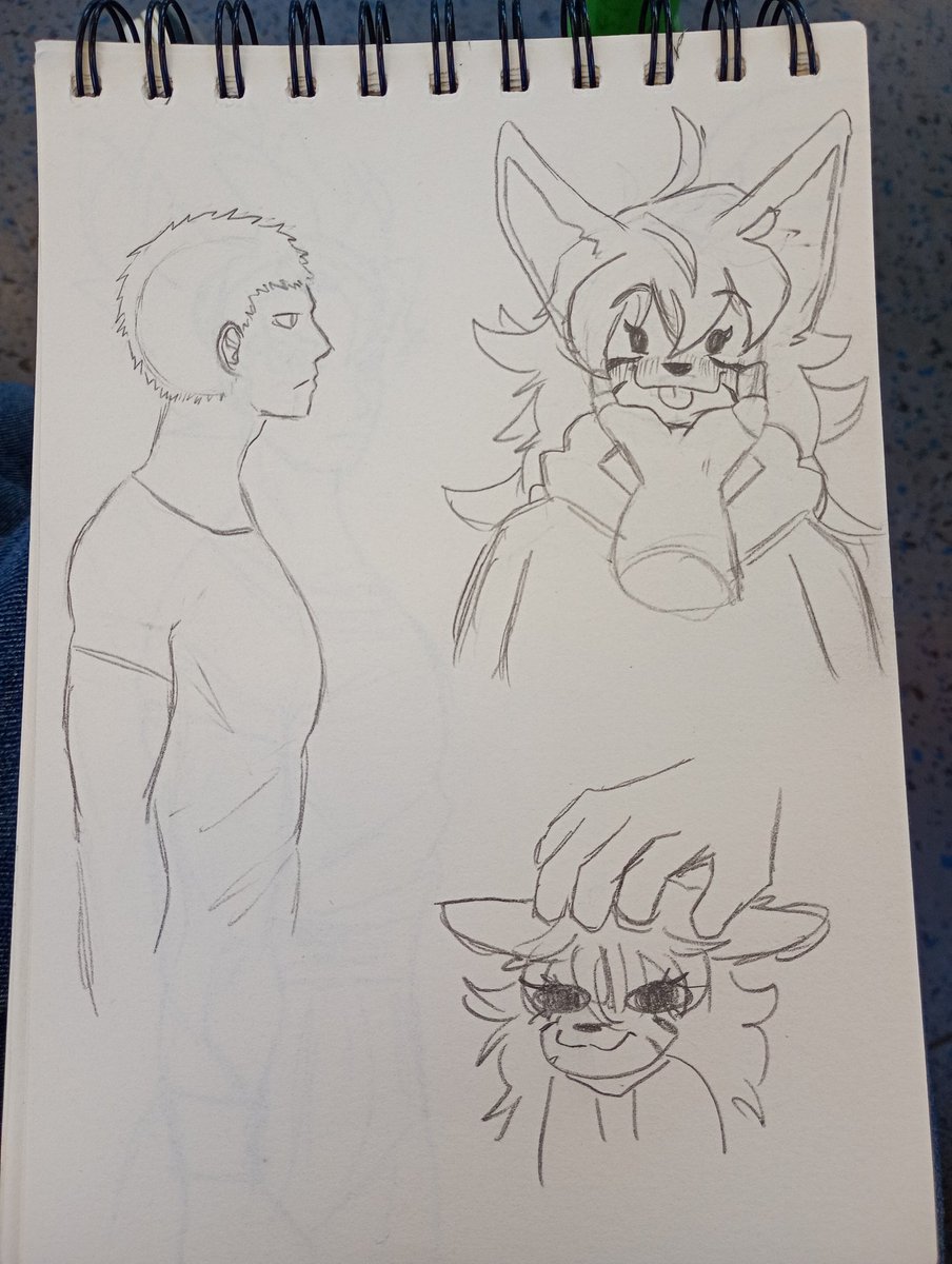 Luger1997🇨🇱 tweet media