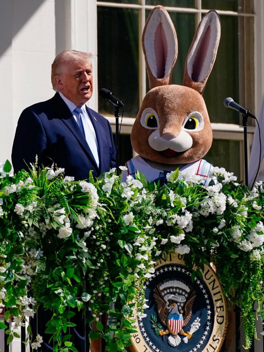 Jimena ⚡️ tweet media