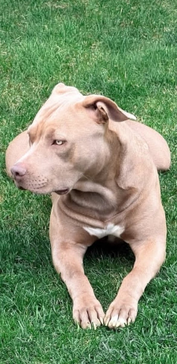 Vale 🌙☀️Il Cuore grande di Daniele 💓FanpageDDM tweet media