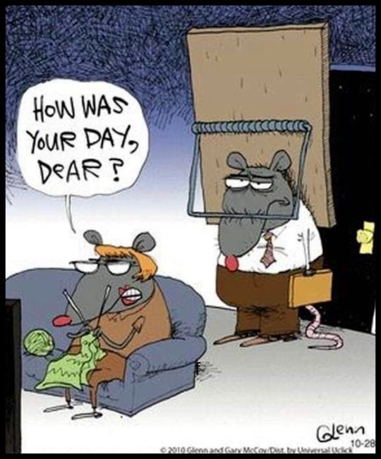 Pelle Nilsson tweet media