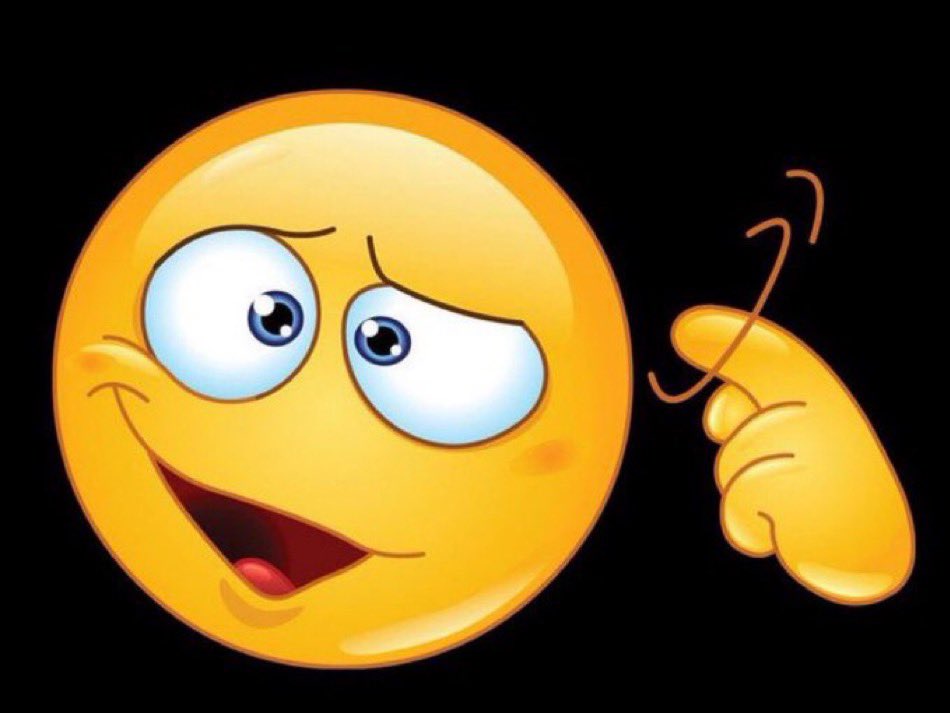 Mr. Bookmark tweet media