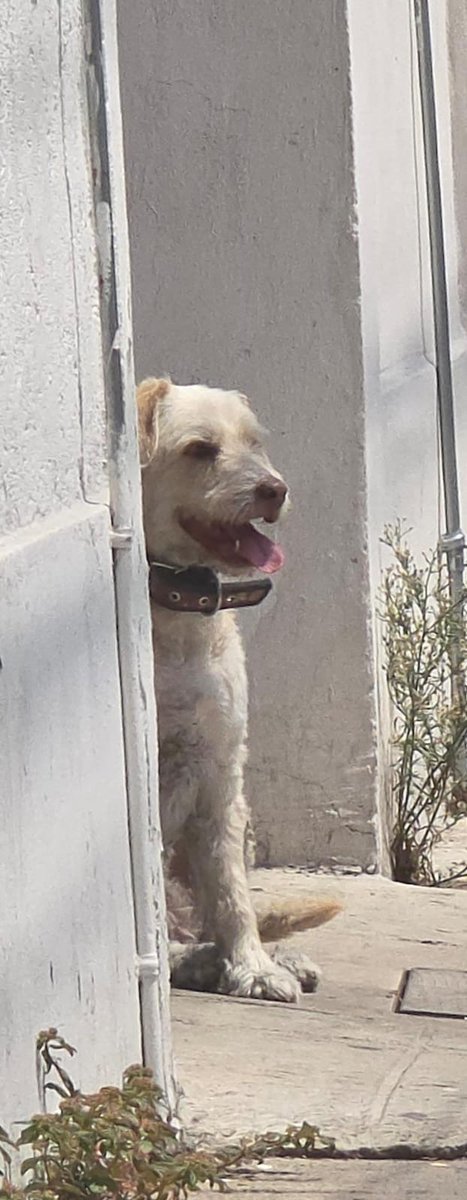 Guadalupe Bravo 🐿️🧡✨ tweet media