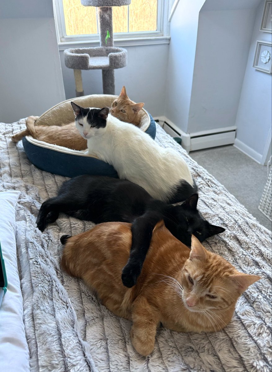 Eleanor Terrett tweet media