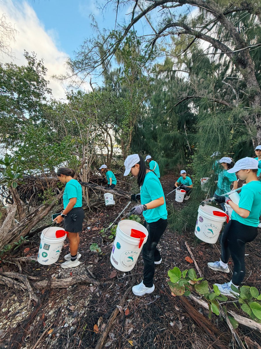 Clean Miami Beach tweet media