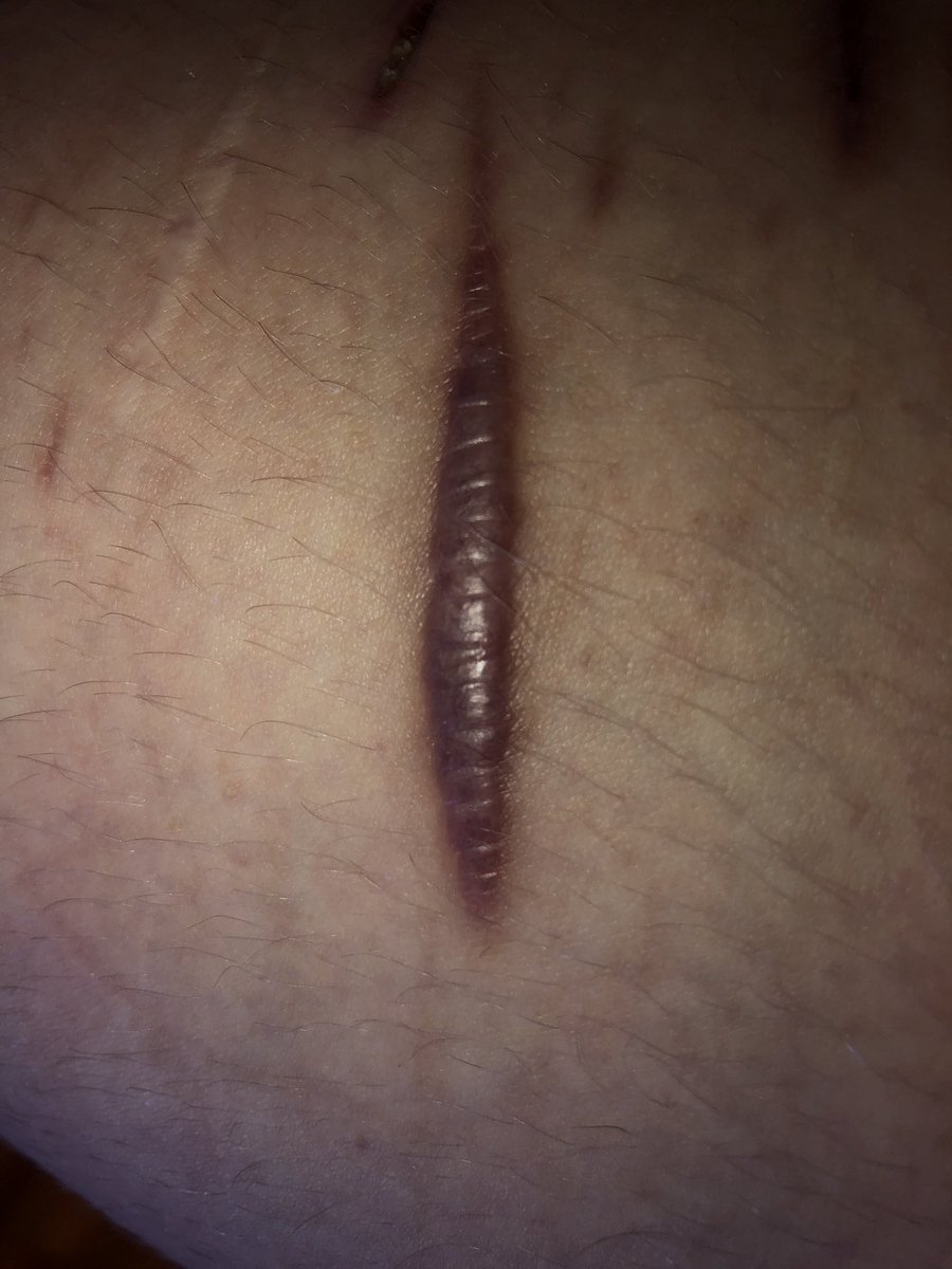 — ͜𓐇⑅ gamzee of shtwt ⏦ﾟ tweet media