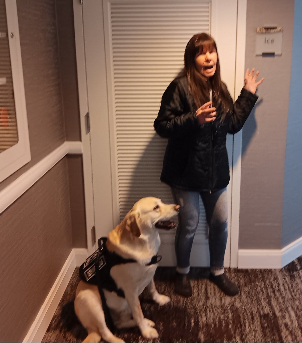 PJ_Yukon's tweet image. Uh-oh! They have ICE in Vancouver! Doc will save us! 🐕 PJ Yukon &amp;amp; Doc. #yukon #doglover