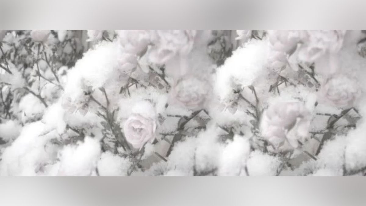 aloura ˚ʚ♡ɞ˚ edtwt tweet media