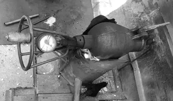 Jordan Labre tweet media