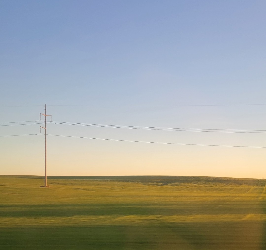 ChilliChillax tweet media