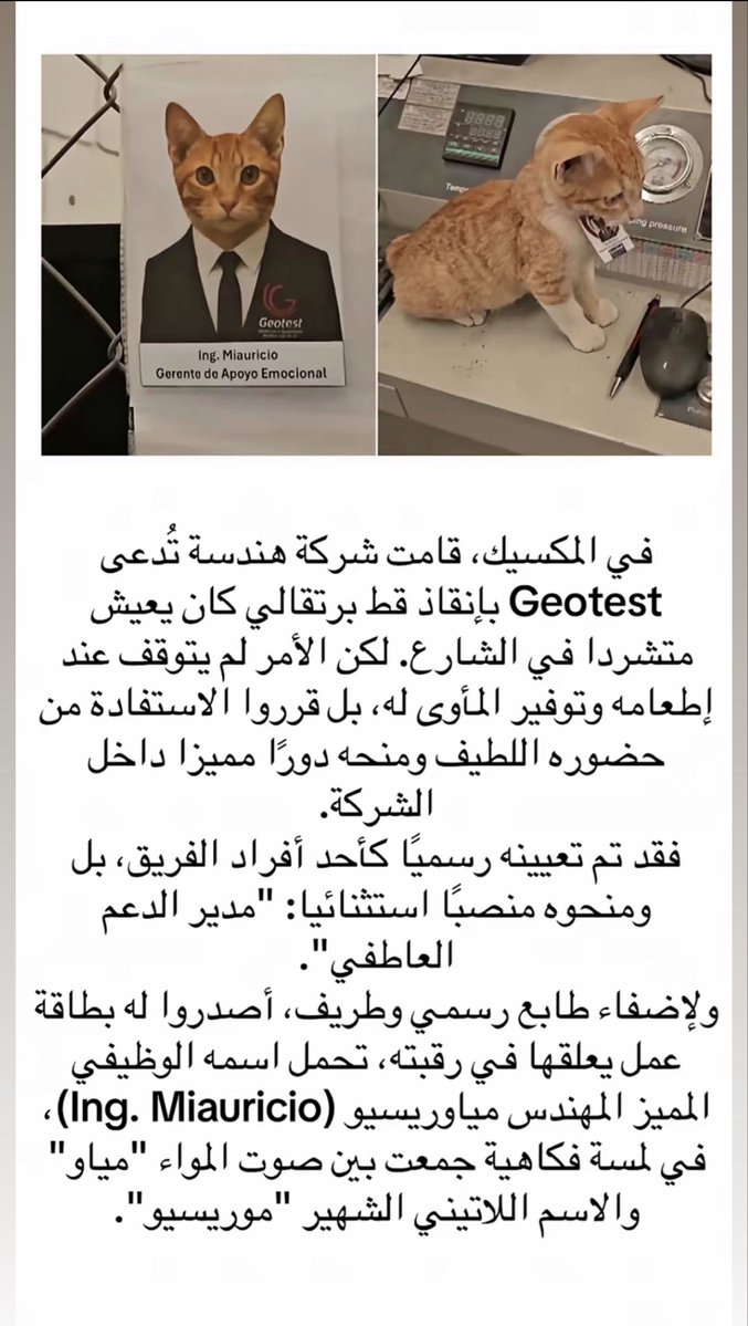 الأديب السعودي عز tweet media