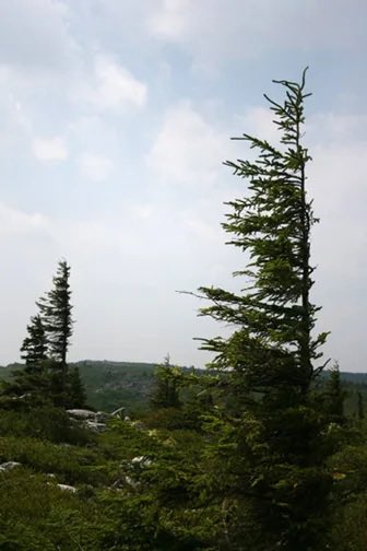 🥐Eikichi7th_fesSt1~3/EXPO DAY1参加☄️ tweet media