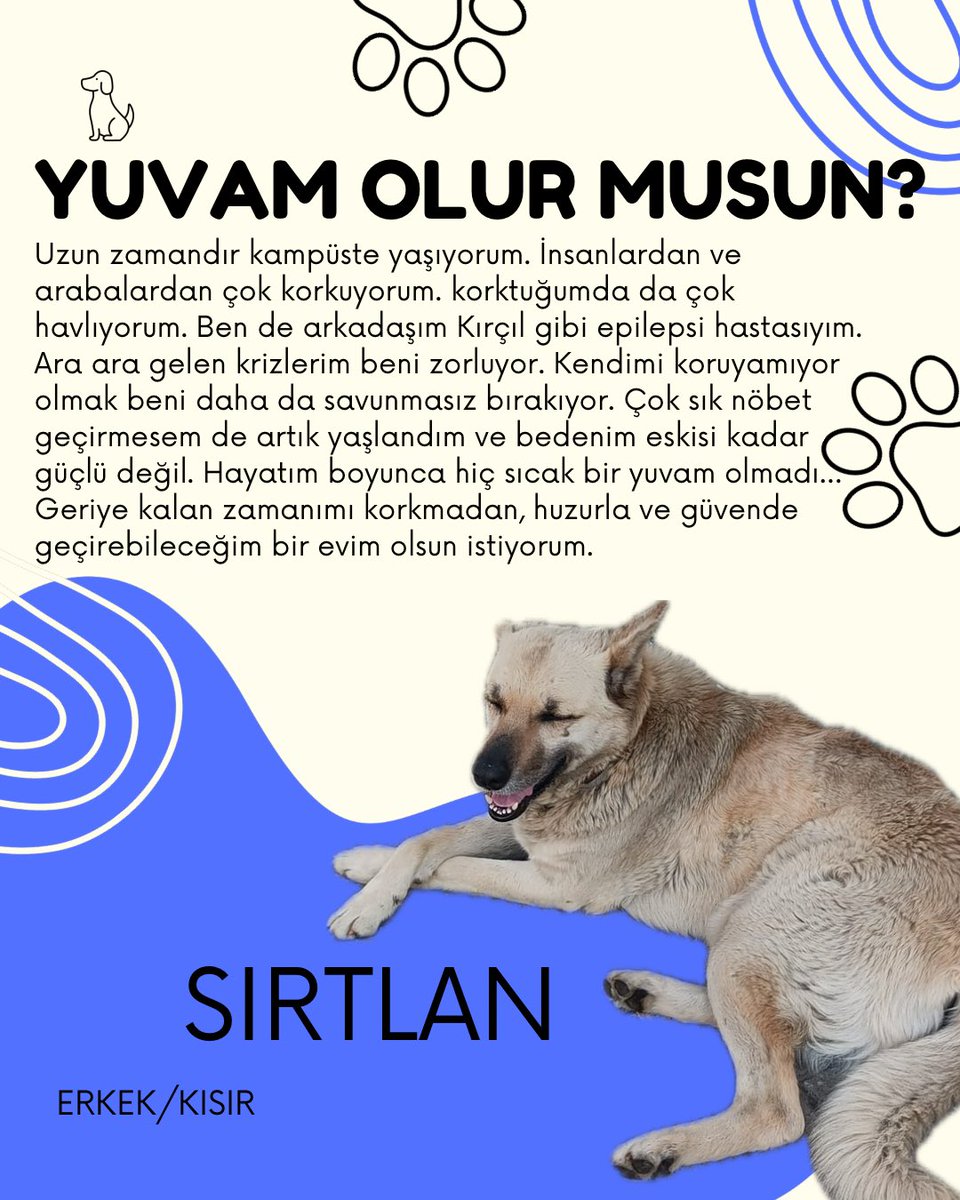 KOÜ Doğa ve Hayvan Dostları Kulübü 🐾 tweet media