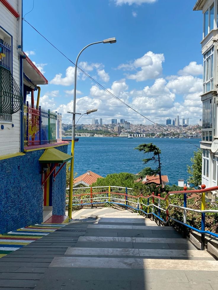 beauti_animals's tweet image. 📍Istanbul, Turkey 🇹🇷