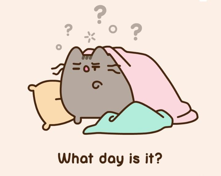 Pusheen parody account tweet media