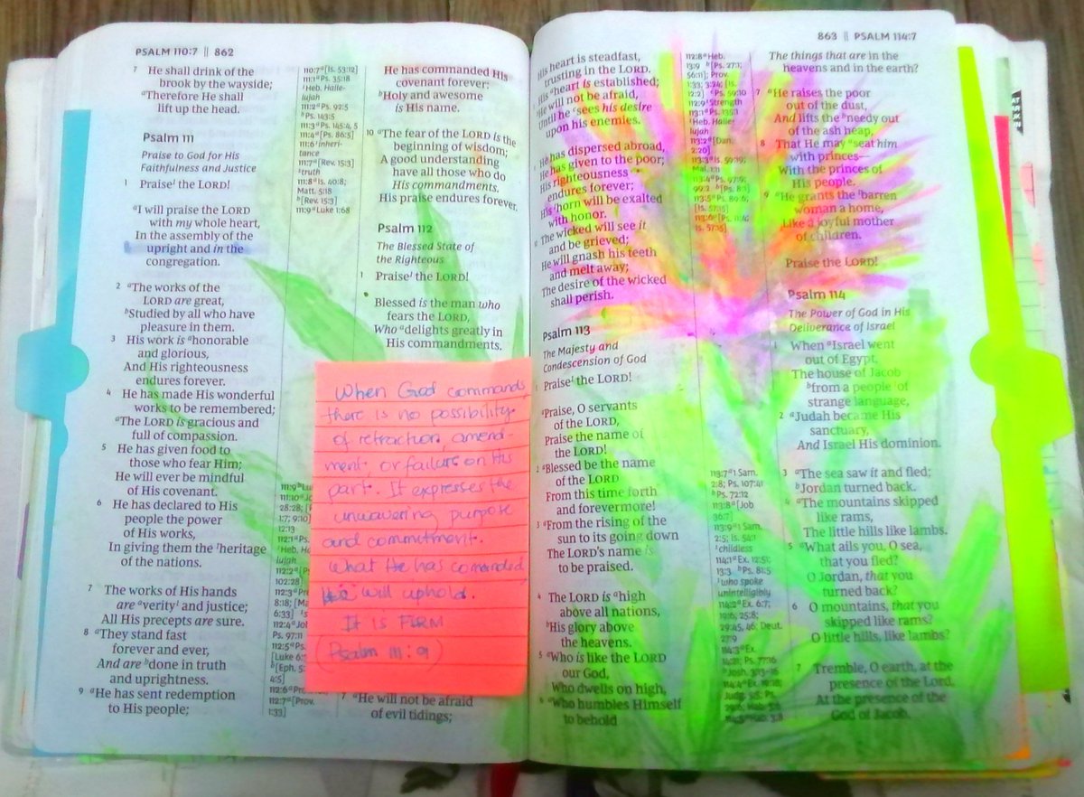 💐💕🅿️🆁ℹ️🅽©🅴🆂🆂👑🛐💎🛡⚔ 🆆🅰️🆁🆁ℹ️🅾️🆁🕊📖 tweet media