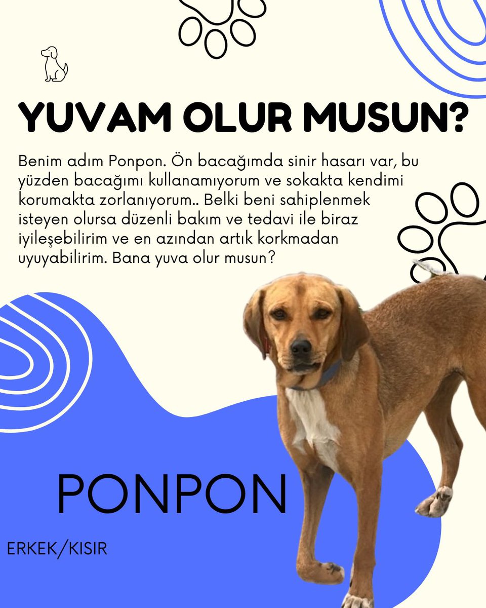 KOÜ Doğa ve Hayvan Dostları Kulübü 🐾 tweet media