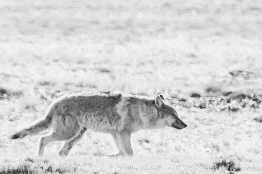 confusedbubbles tweet media