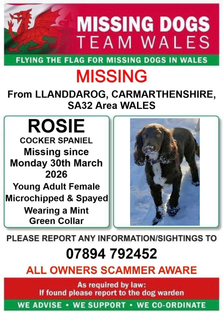 Rosie Doc tweet media