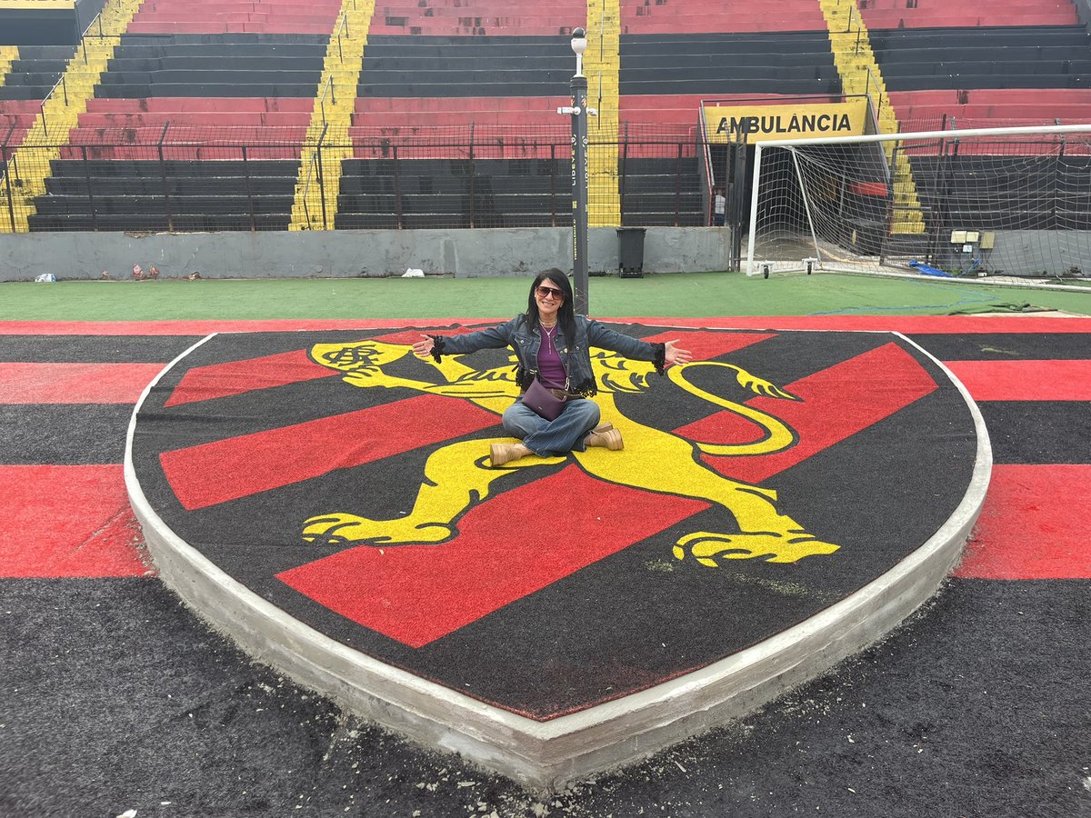 Leões Net ⭐ tweet media