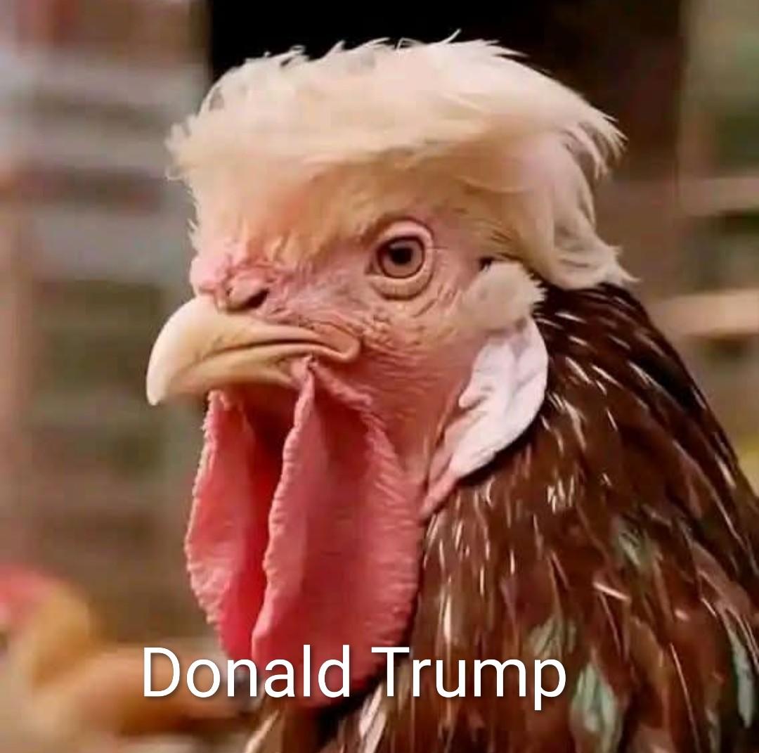 Osvaldo Vallejo tweet media