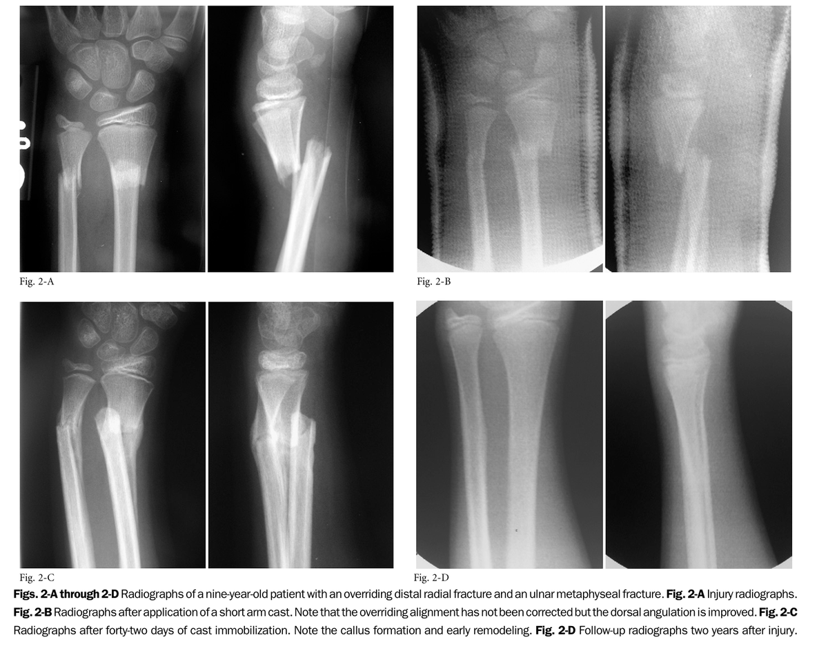 Damian Roland tweet media
