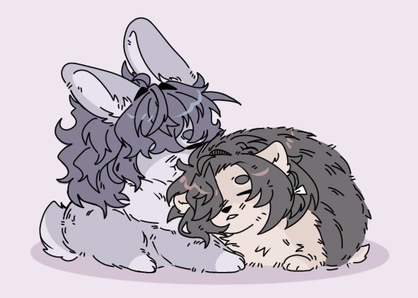 Q流🌊 tweet media