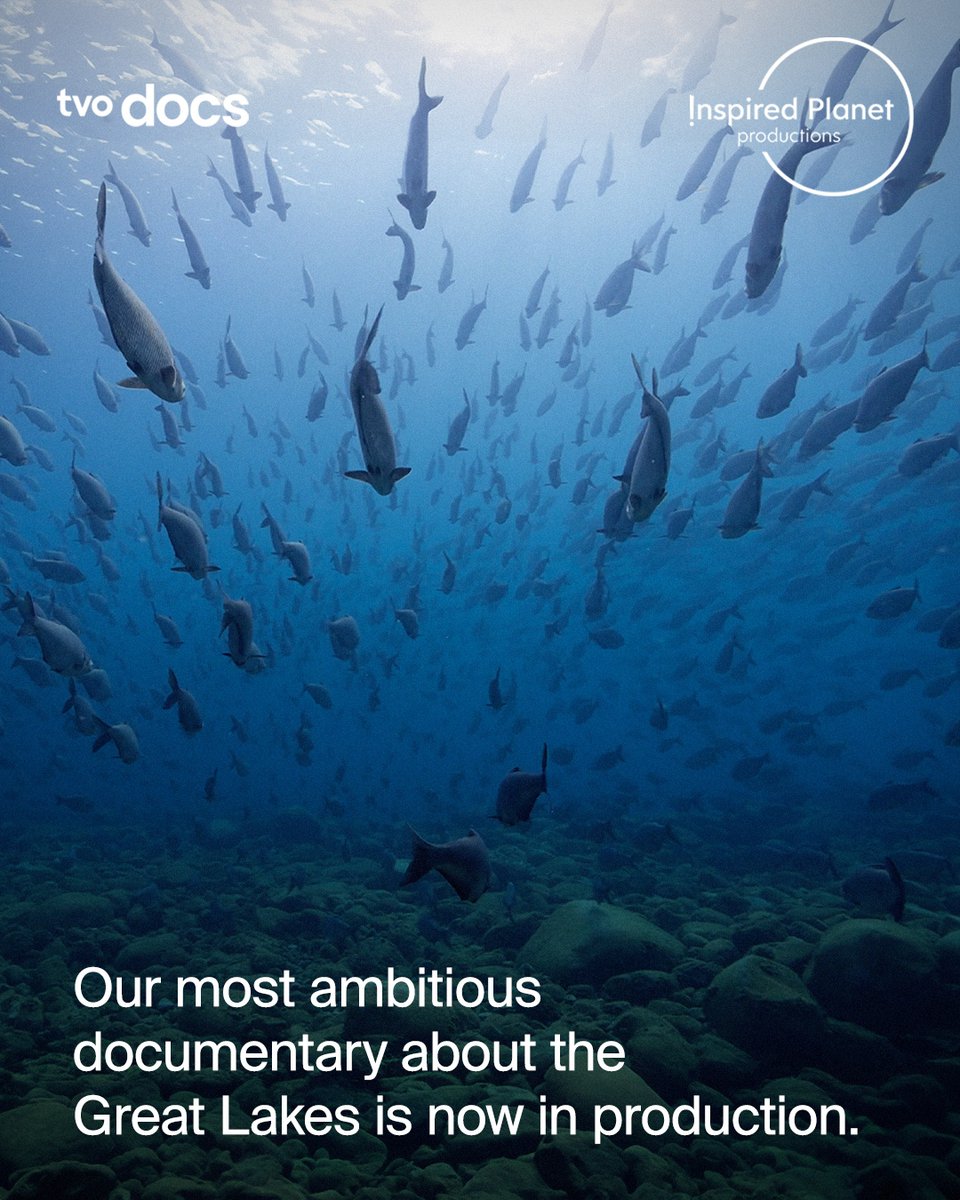 TVO Docs tweet media