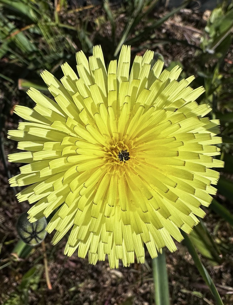 Kae ‎‎‎ tweet media