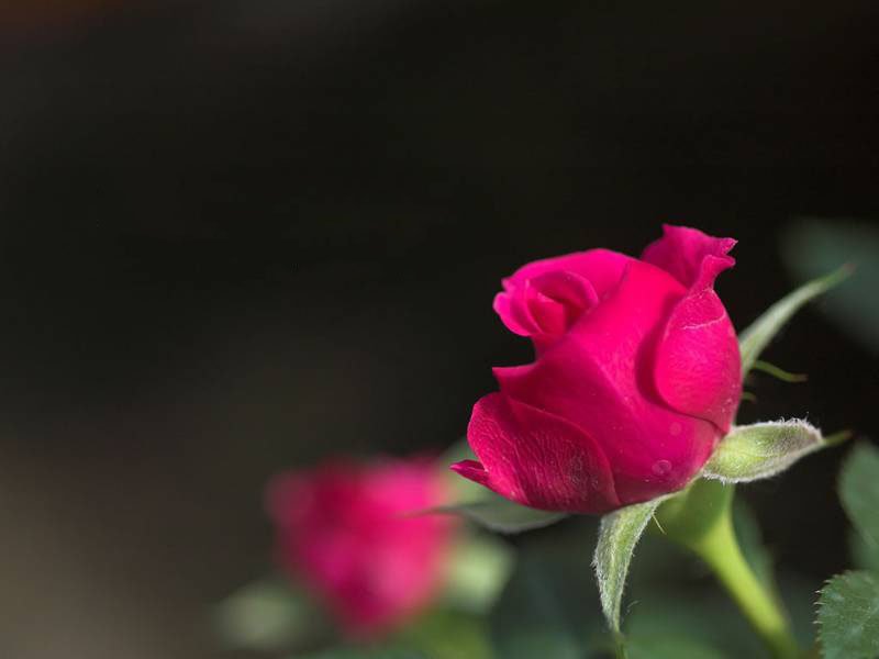 أم قصي 🇦🇪💚💚 tweet media