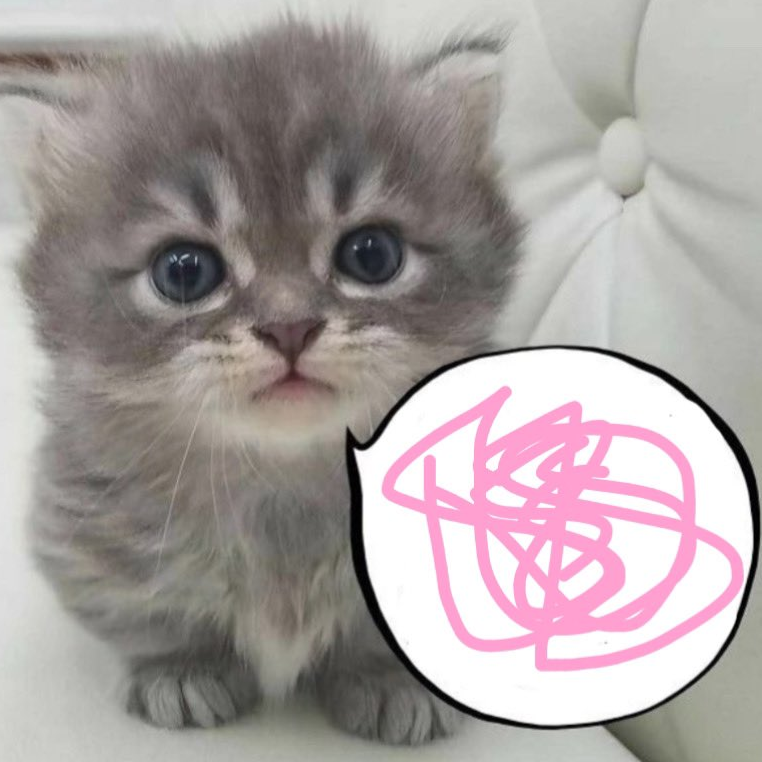 Diamant ♡︎ tweet media