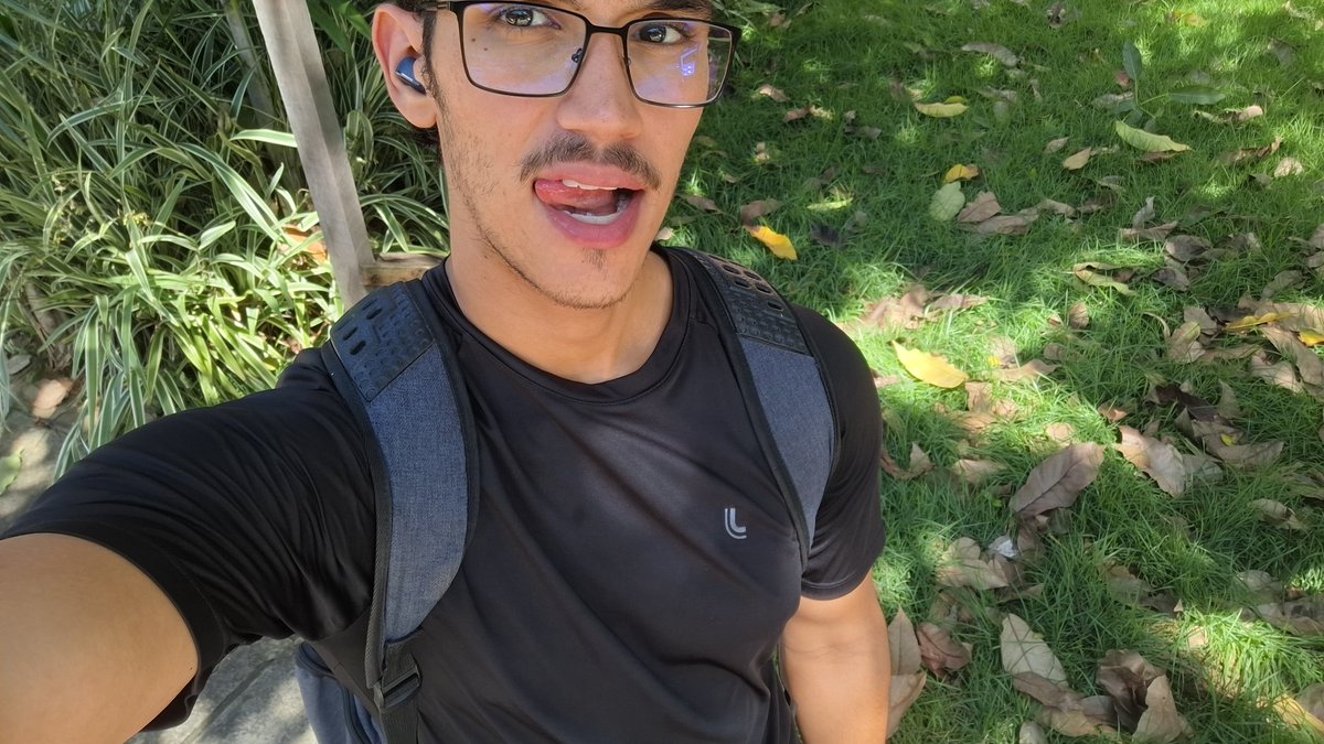 cigarro sabor shane hollander tweet media