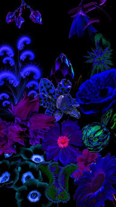 calmlivng's tweet photo. ocean deep 🪸 https://t.co/MldWXyYcR1