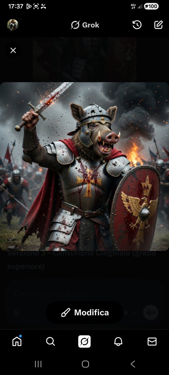 Roberto 羅伯托 🐗 tweet media