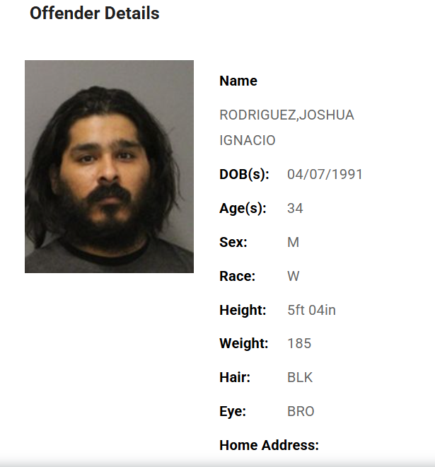 So many bots here tweet media