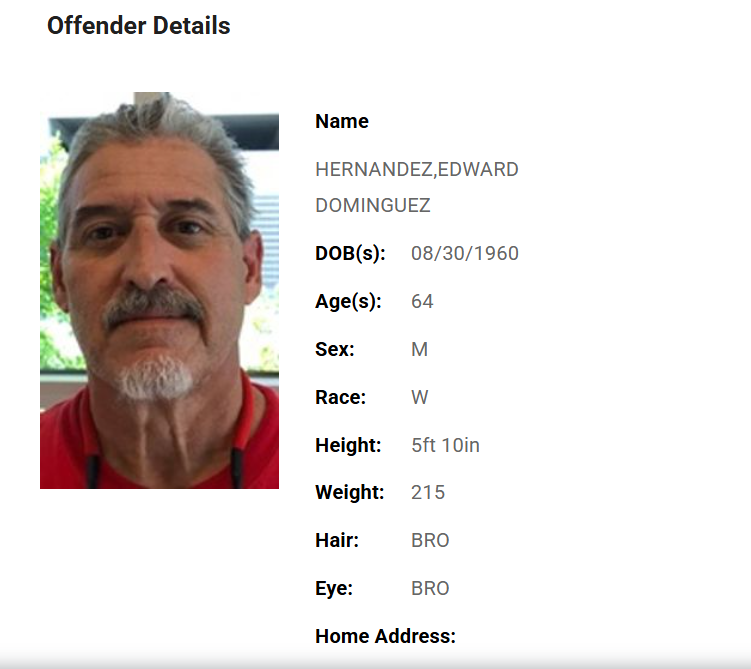 So many bots here tweet media