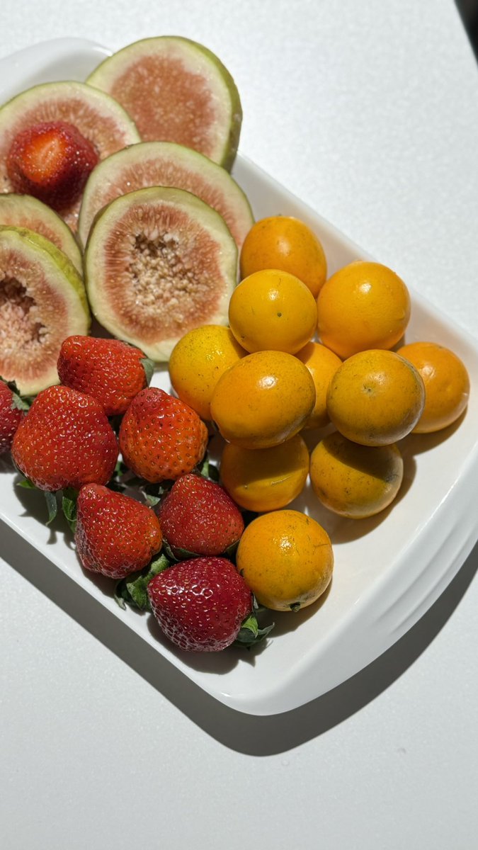 M🕊️💜 tweet media